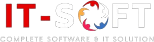 IT SOFT - Web Development and Software Solutions Company Logo